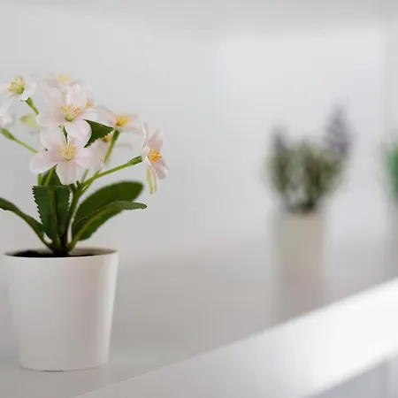 아파트 Penthouse 3a 모로델제블