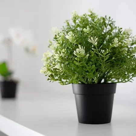 Apartment Penthouse 3a Morro Jable (Fuerteventura)