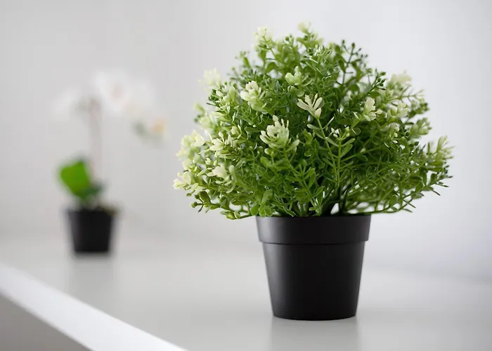 Apartment Penthouse 3a Morro Jable (Fuerteventura)