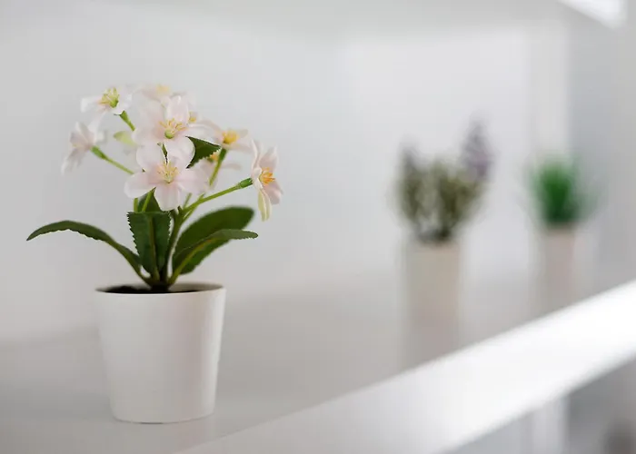 Appartement Penthouse 3a Morro Jable (Fuerteventura)